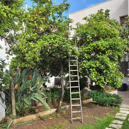 Citrus Garden Avetrana Exterior foto