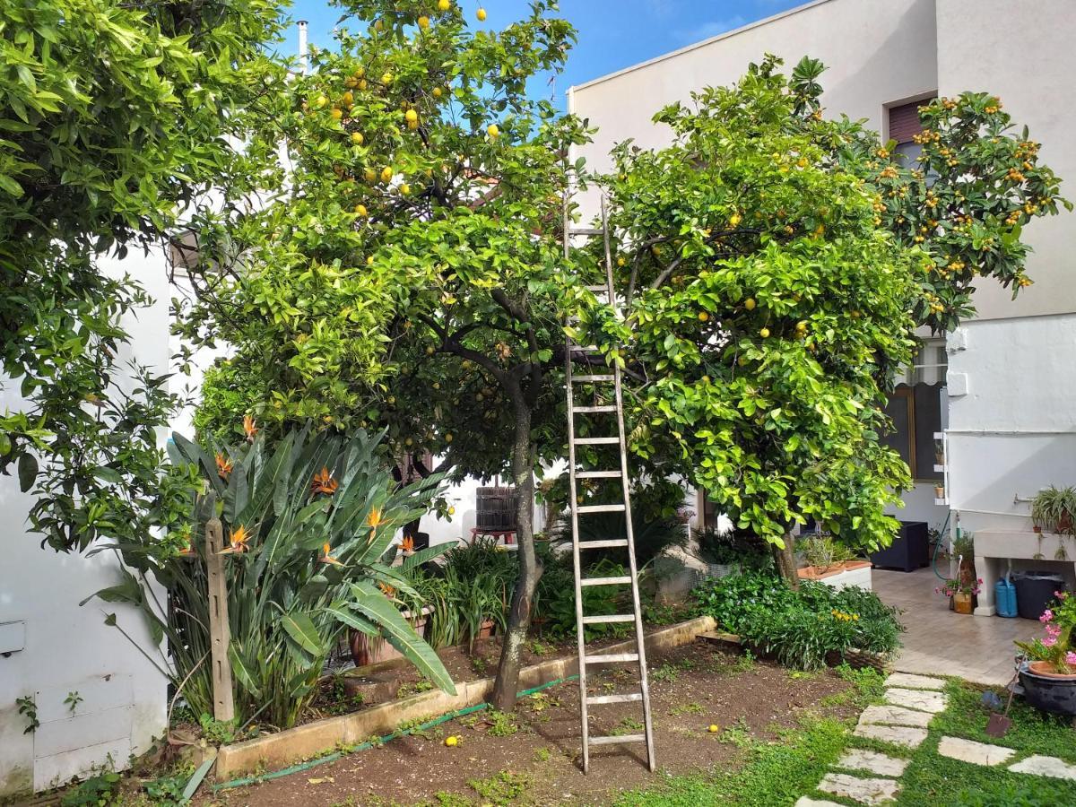 Citrus Garden Avetrana Exterior foto